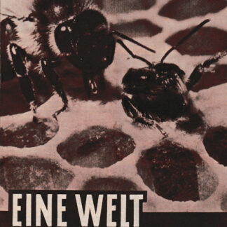Eine Welt voller Rätsel, Neues Film-Programm Nr.635