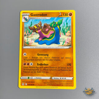 Gastrodon KP130