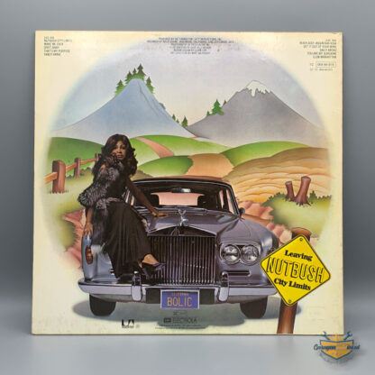 Nutbush City Limits, Vinyl LP – Bild 2
